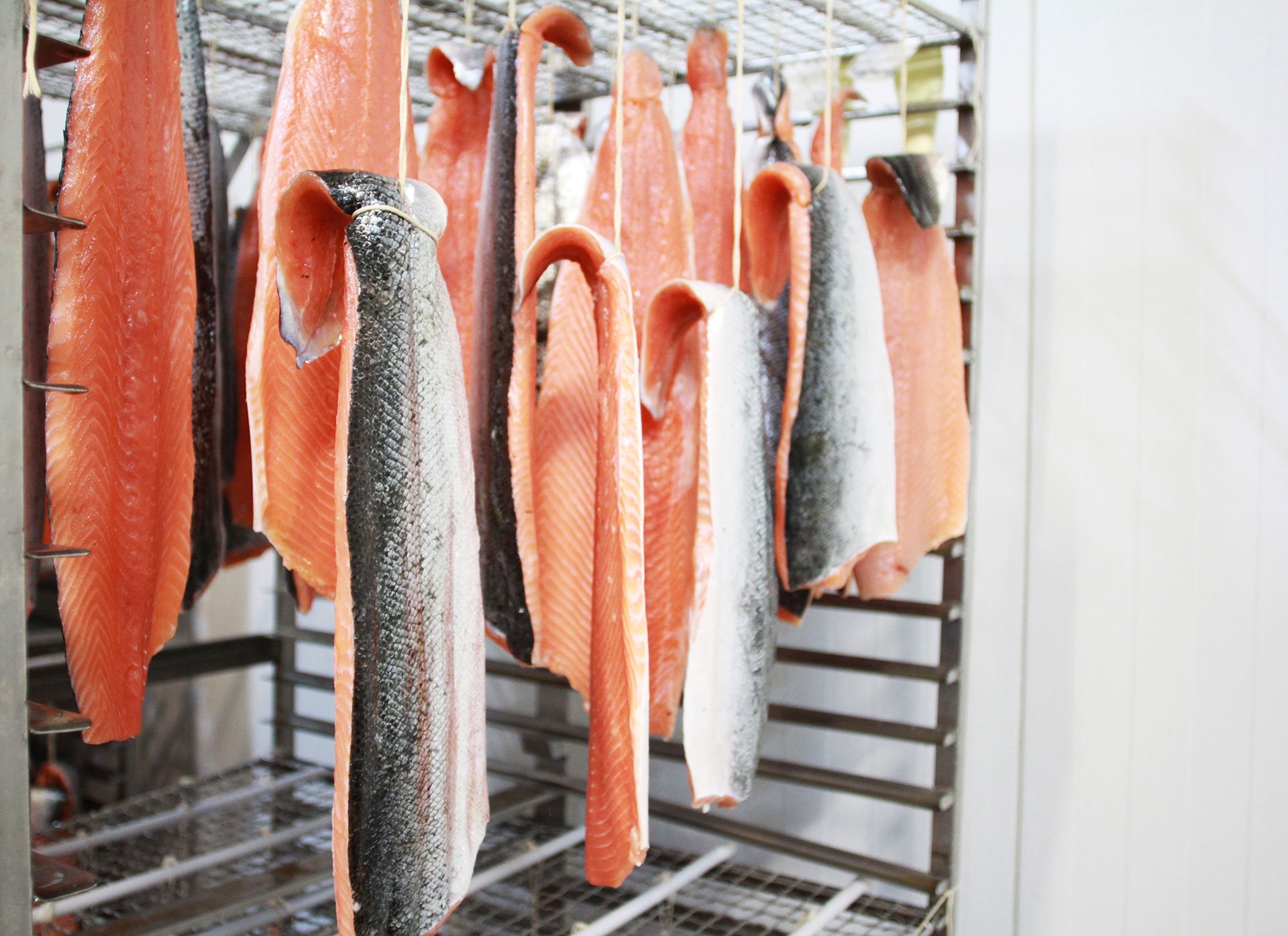 KH Select Salmon Professional Production