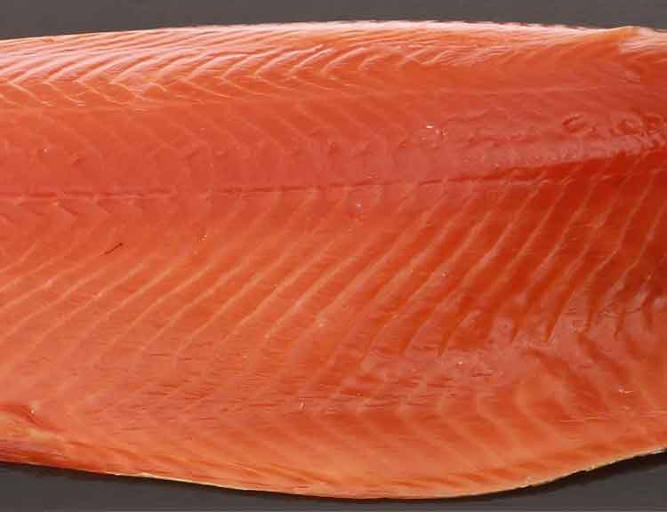 KH Select Salmon Professional Production